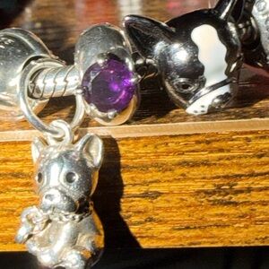 Pandora Purple Solitare Solitare Clip